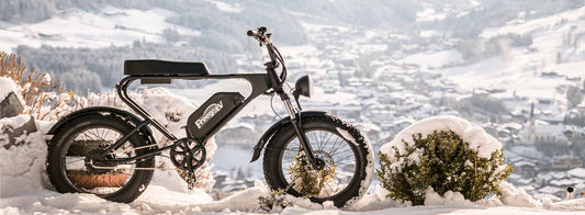 Black Freego electric bike covered in snow outdoors in a snowy winter landscape with village background winter care for e-bikes
