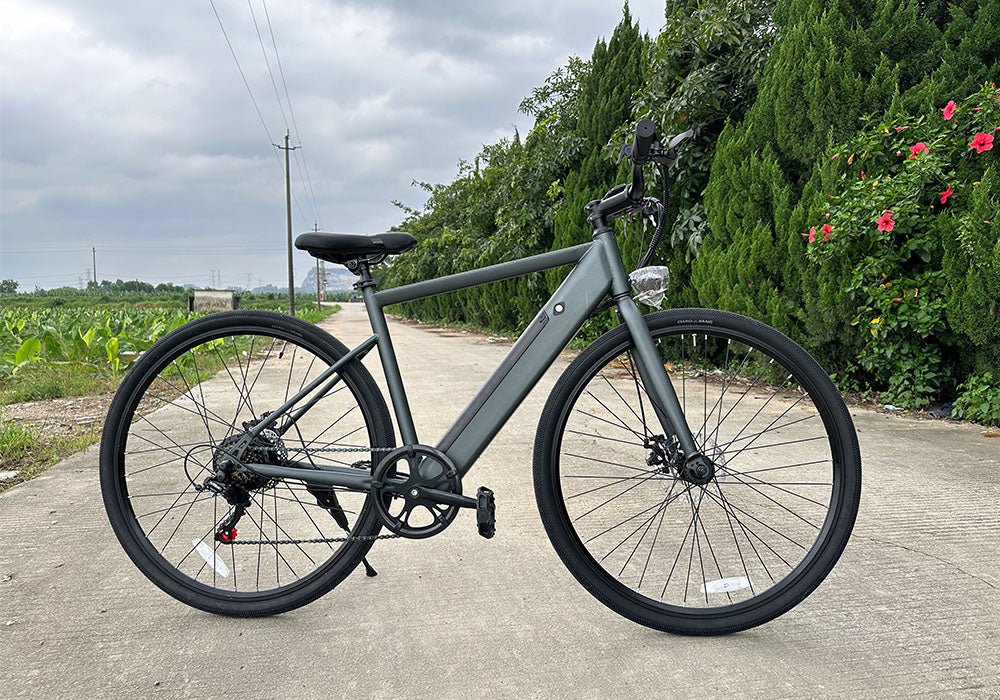 E7 city bike gary