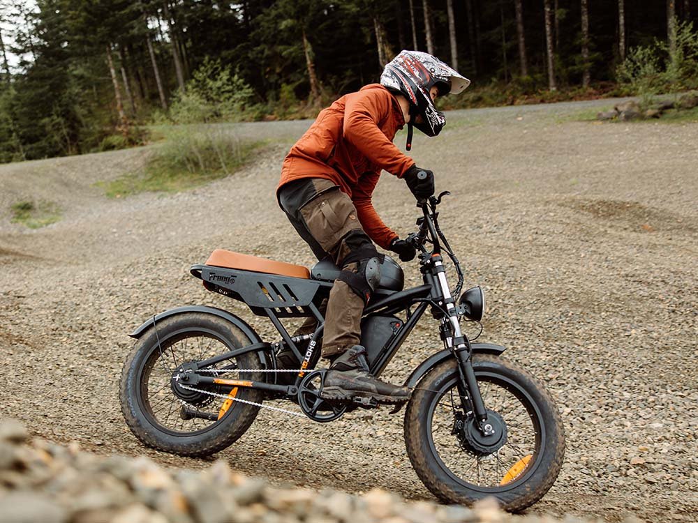 Freego Flash F3 Pro electric bike