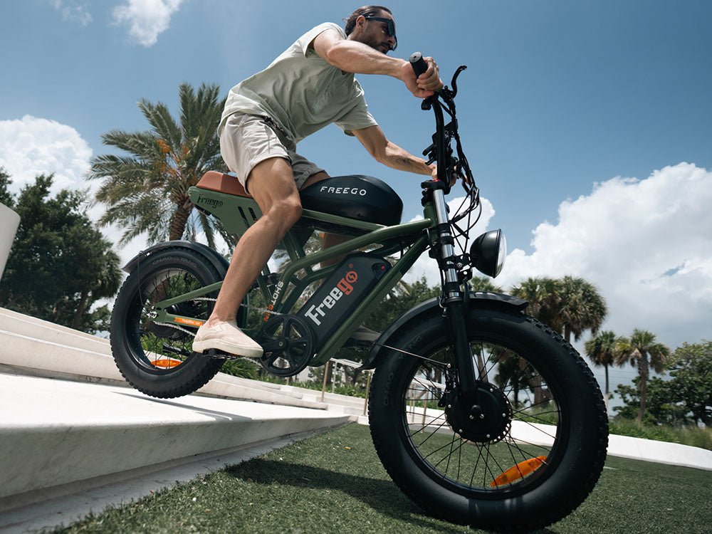 Freego Flash F3 Pro electric dirt bicycle