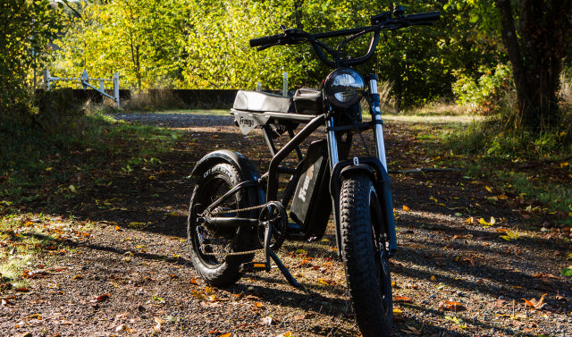 Freego ebike parked on a sunlit forest path during an autumn day