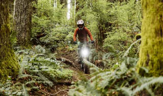 Freego ebike riding through a forest trail in an off-road adventure