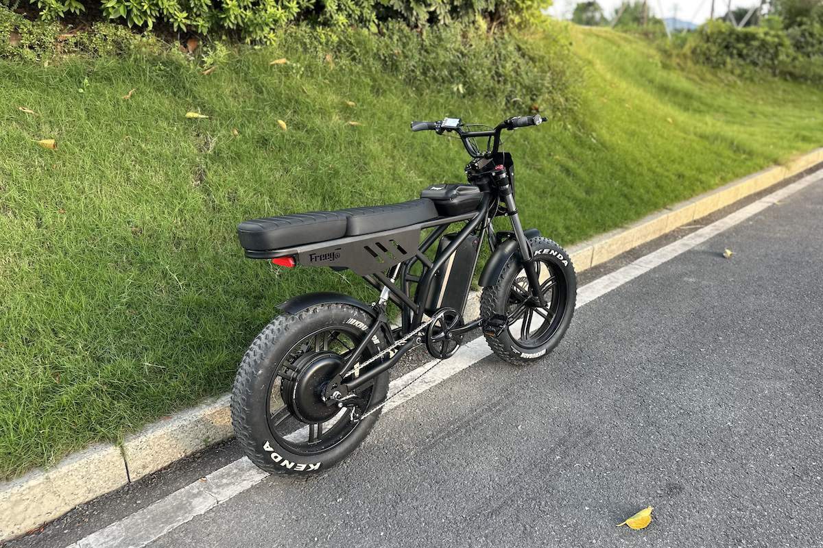 Freego F2 Pro Max electric bike with fat tires parked by the roadside.