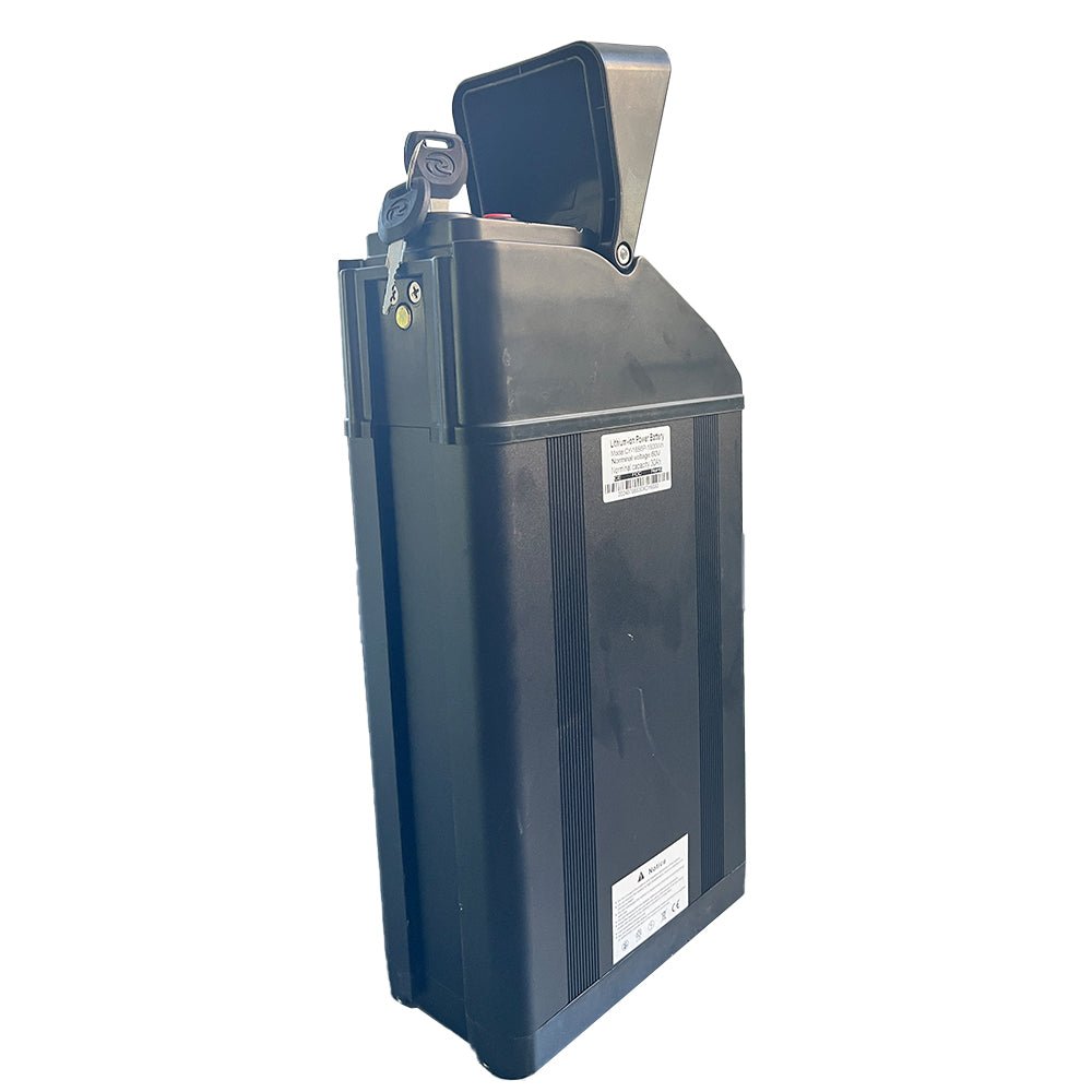 Freego X2 Electric Bike Lithium Battery