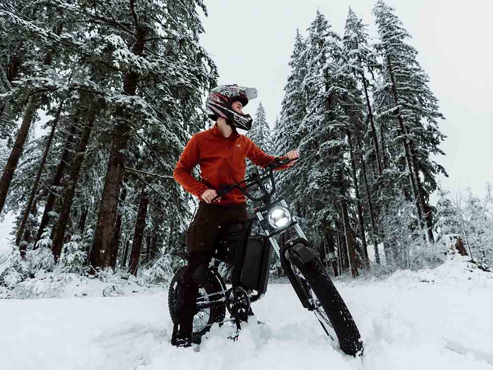 Freego S1 in the snow