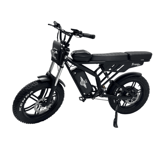 Black electric bike with 'Fruggo' branding on a light gray background