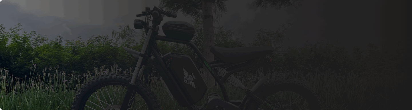 Background picture of freego N3