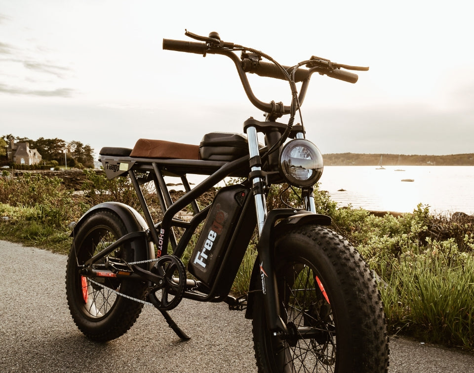Close-up of a Freego e-bike parked by a lake at sunset on a paved path.