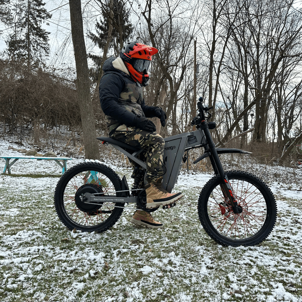 freego x2 pro in the snow