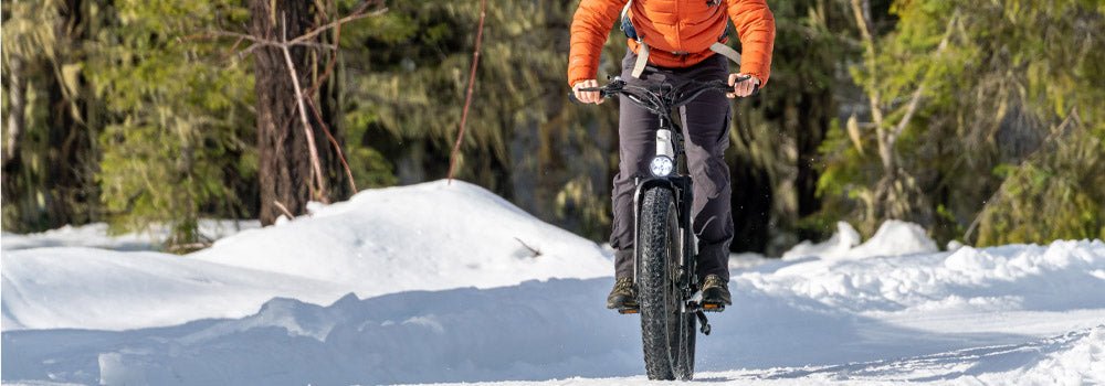Reasons to choose a Fat Tire electric bike for hunting