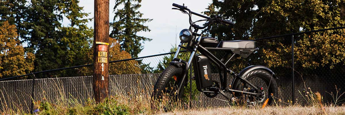 A Freego F1 parked around the fence in the mountains - ready to take you through the blog about ebike battery and range