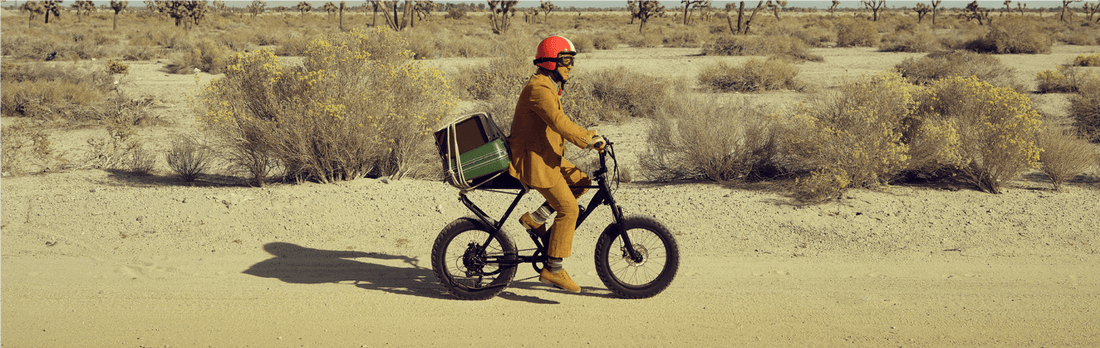 cargo ebike