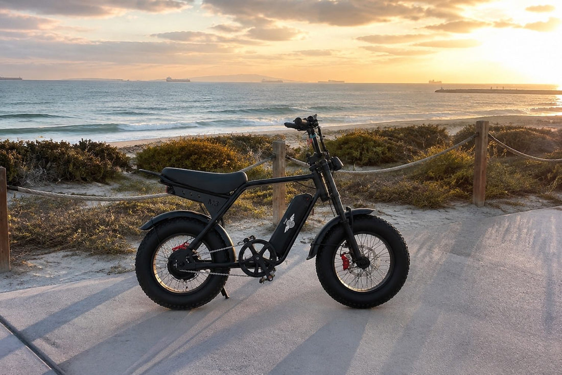 Freego M3 at the beach