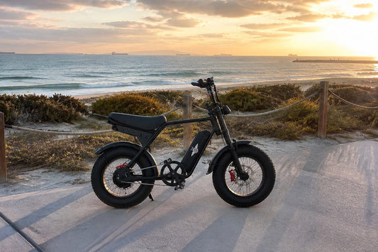 Freego M3 at the beach
