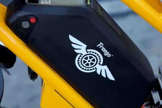 Freego electric bike lithium battery