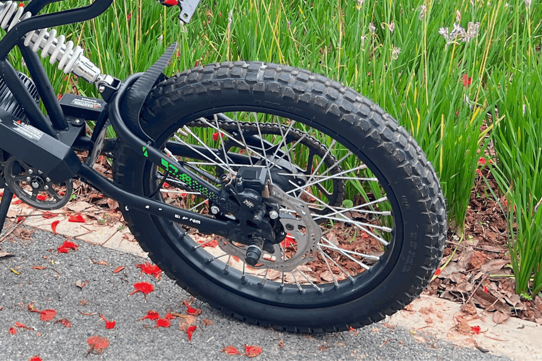 a rear tire of a Freego Nova 3 fat tire ebike against the grass-like frowers in the autumn