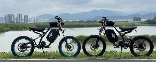 Freego Nova 3 and Tuttio Soleil01 electric bikes side by side outdoors by a lake with cityscape and mountains in background