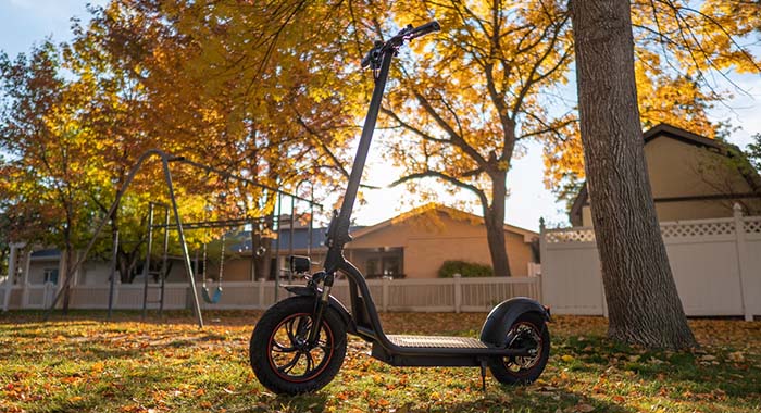 Scooter for Adults | Freego USA