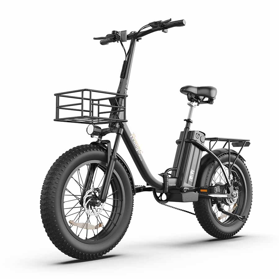 eFlex Lite B Foldable Electric Bike 500W Poweful Motor