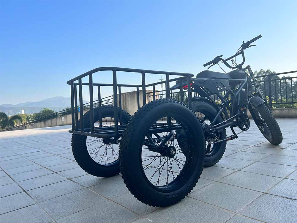 Freego Electric Bicycle Cargo Side Basket