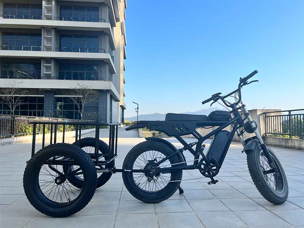 electric trailer for bicycle Freego Electric Bicycle Cargo Side Basket