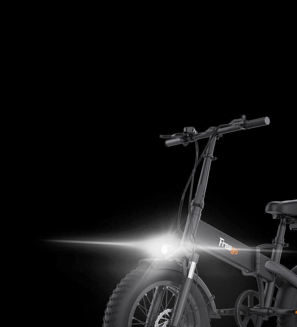 Multi-purpose electric bicycle E1