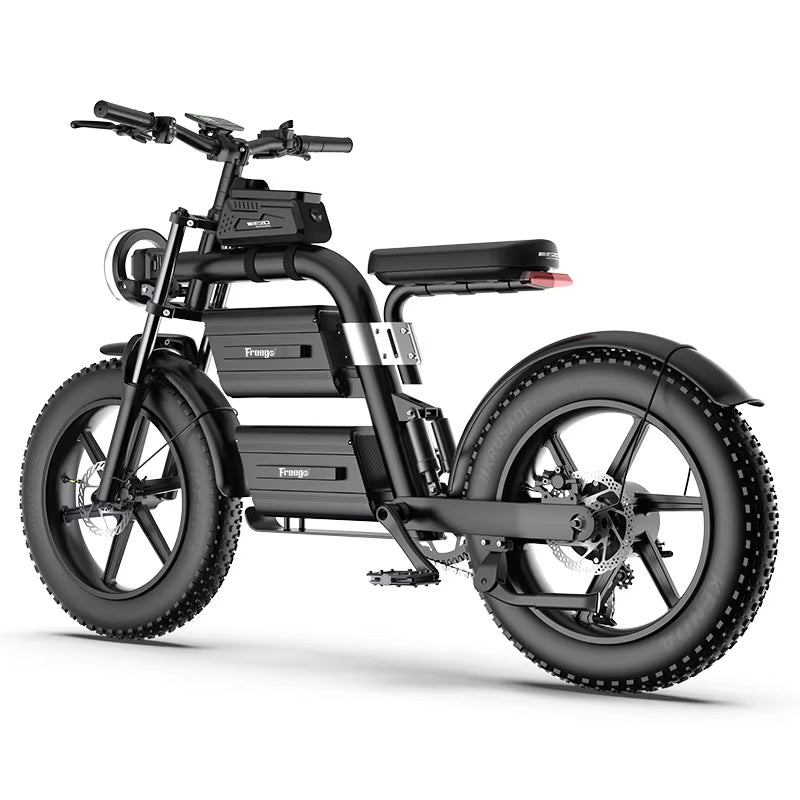 E20 Dual Battery Electric Bicycle