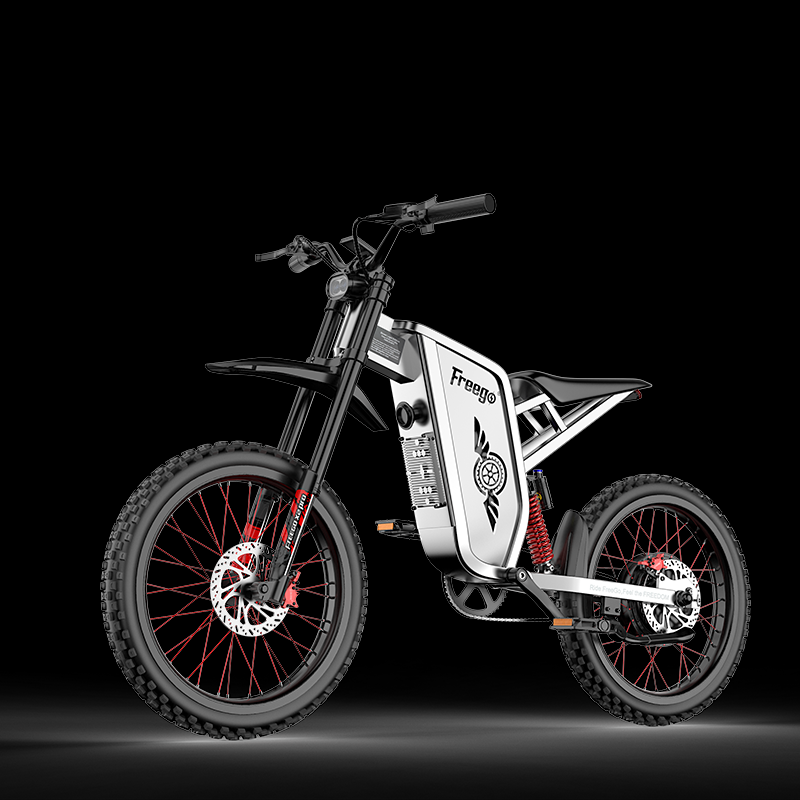 Eco-friendly dirt e-bike