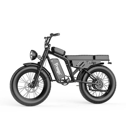 1000W Motor E-bike