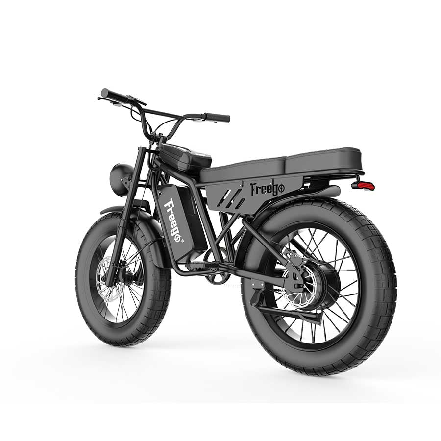 Freego Shotgun  F0 Electric Bike 