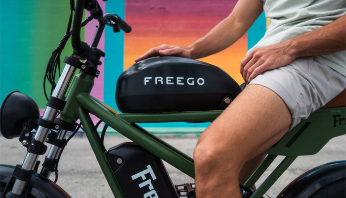 Freego electric bike battery online