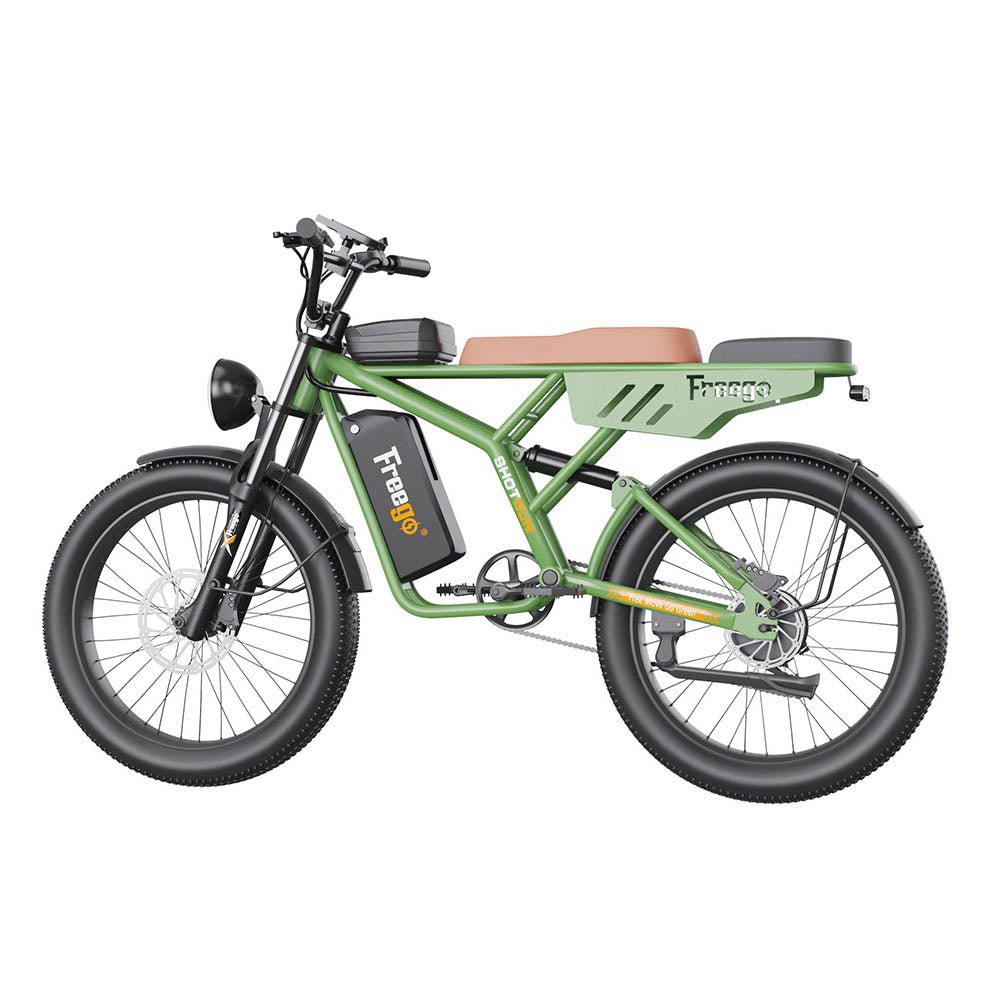 cargo motorbike F4