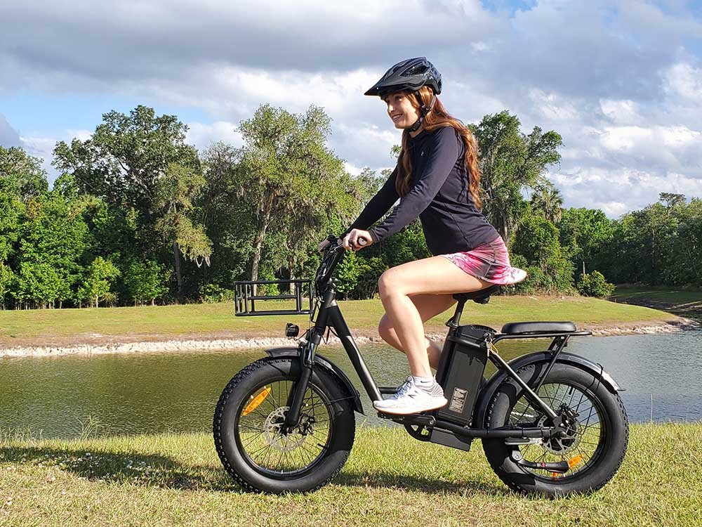 Freego FB-20X Step-thru Fat Tire Electric Bike