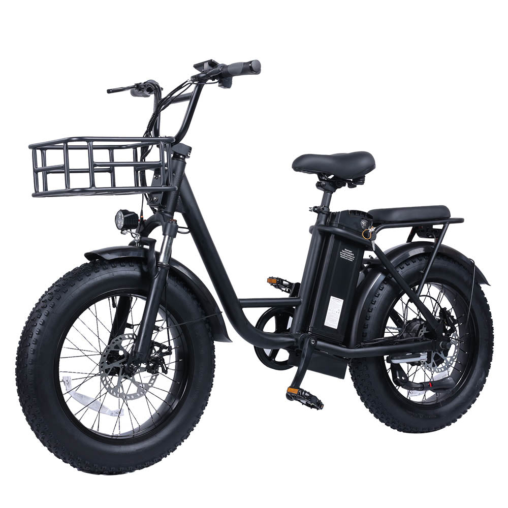 FB-20X 25ah battery e-bike