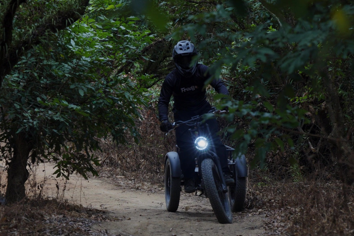 Freego-FlexTrike-Swing-Front-Forest-Cycling