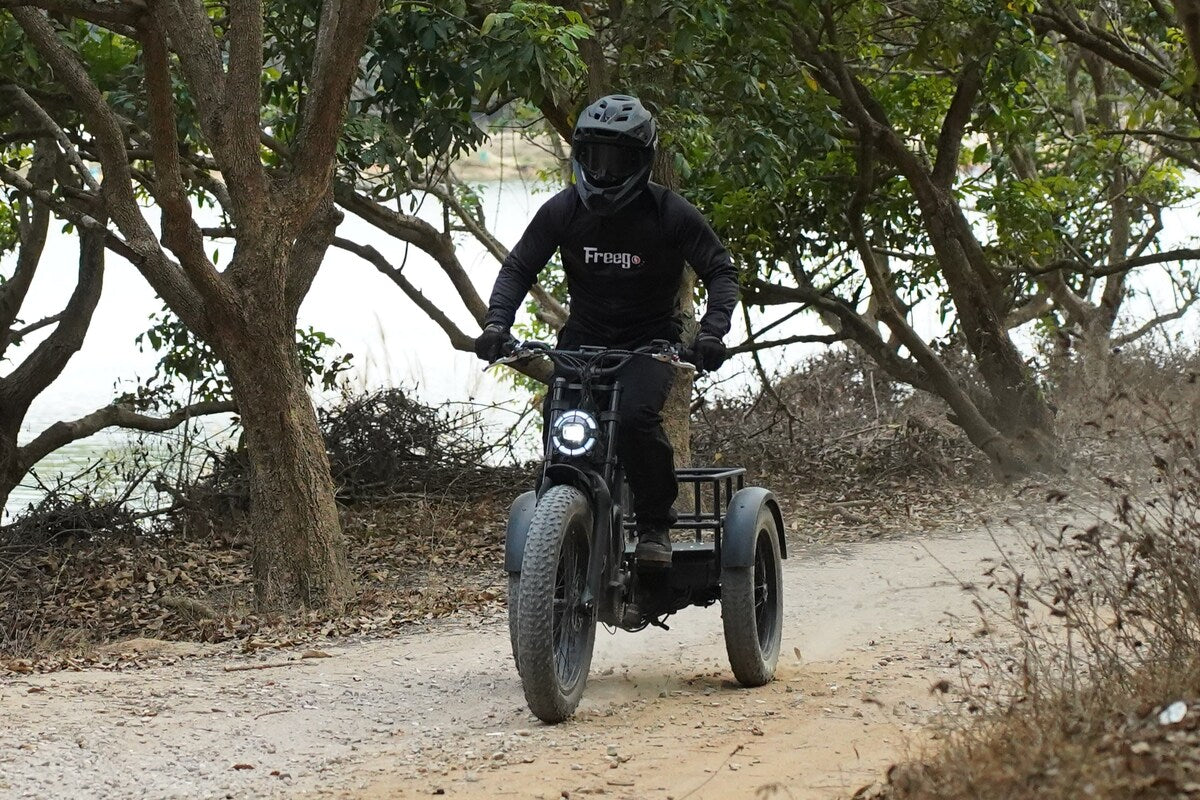 Freego-FlexTrike-Swing-Front-Lake-Riding