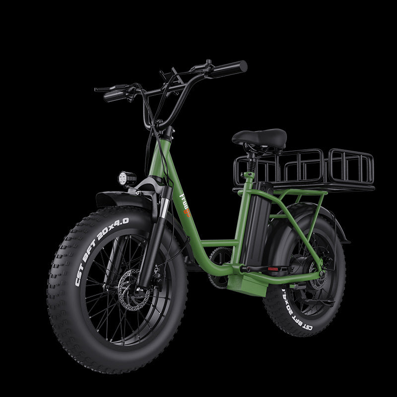 Step-thru All-Terrain E-bike