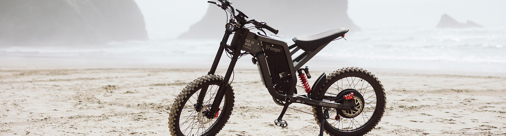 Freego dirt e-bike X2