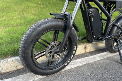 Close-up of Freego F2 Pro Max front wheel with Kenda fat tire and disc brake.
