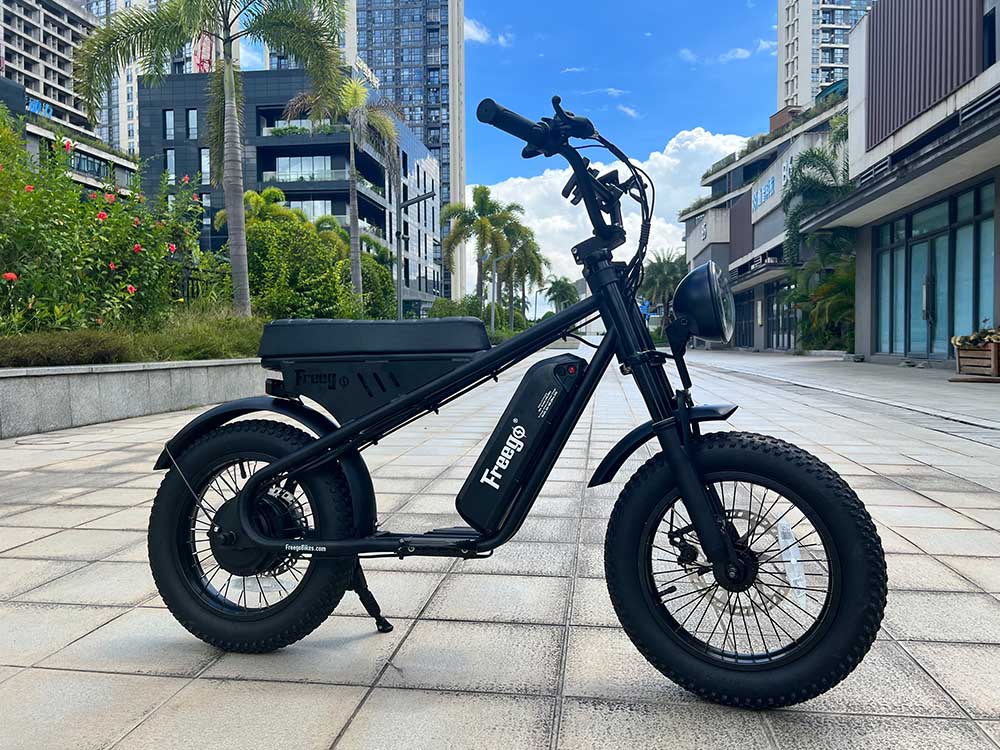 Freego Mini Electric Motorcycle for Child M1 – Freegobikes Official Store Freego Mini Electric Motorcycle for Child M1 – Freegobikes Official Store