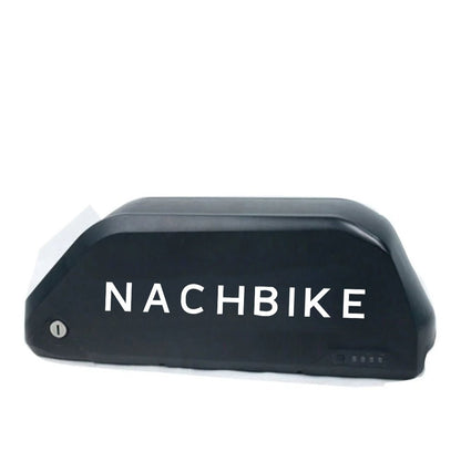 Electric Bike Lithium Battery