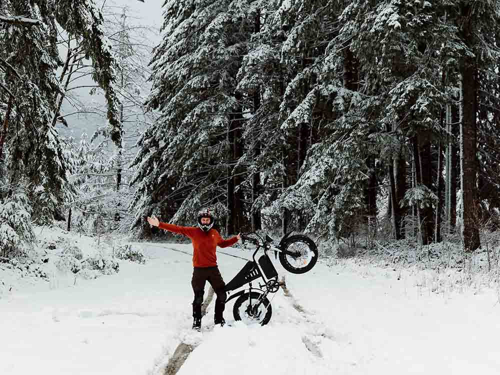 Freego S1 Snow Fat Tire Electric Bike