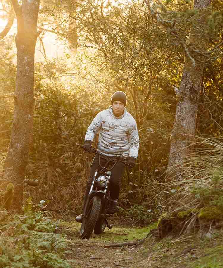 Freego S1 Fat Tire Electric Bike