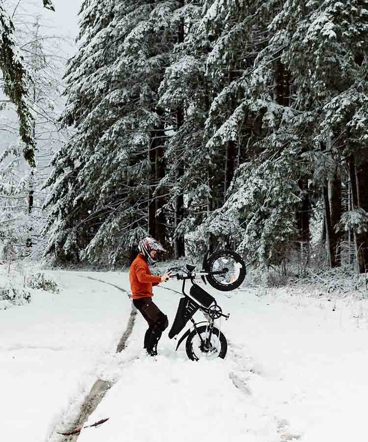 Freego S1 Snow Electric Bike