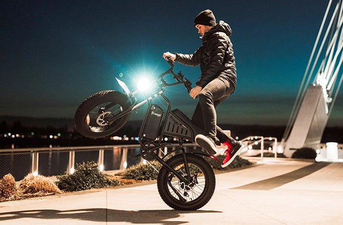 Freegobikes Powerful Electric Bikes Electric Scooters Manufacturer Freego USA Official