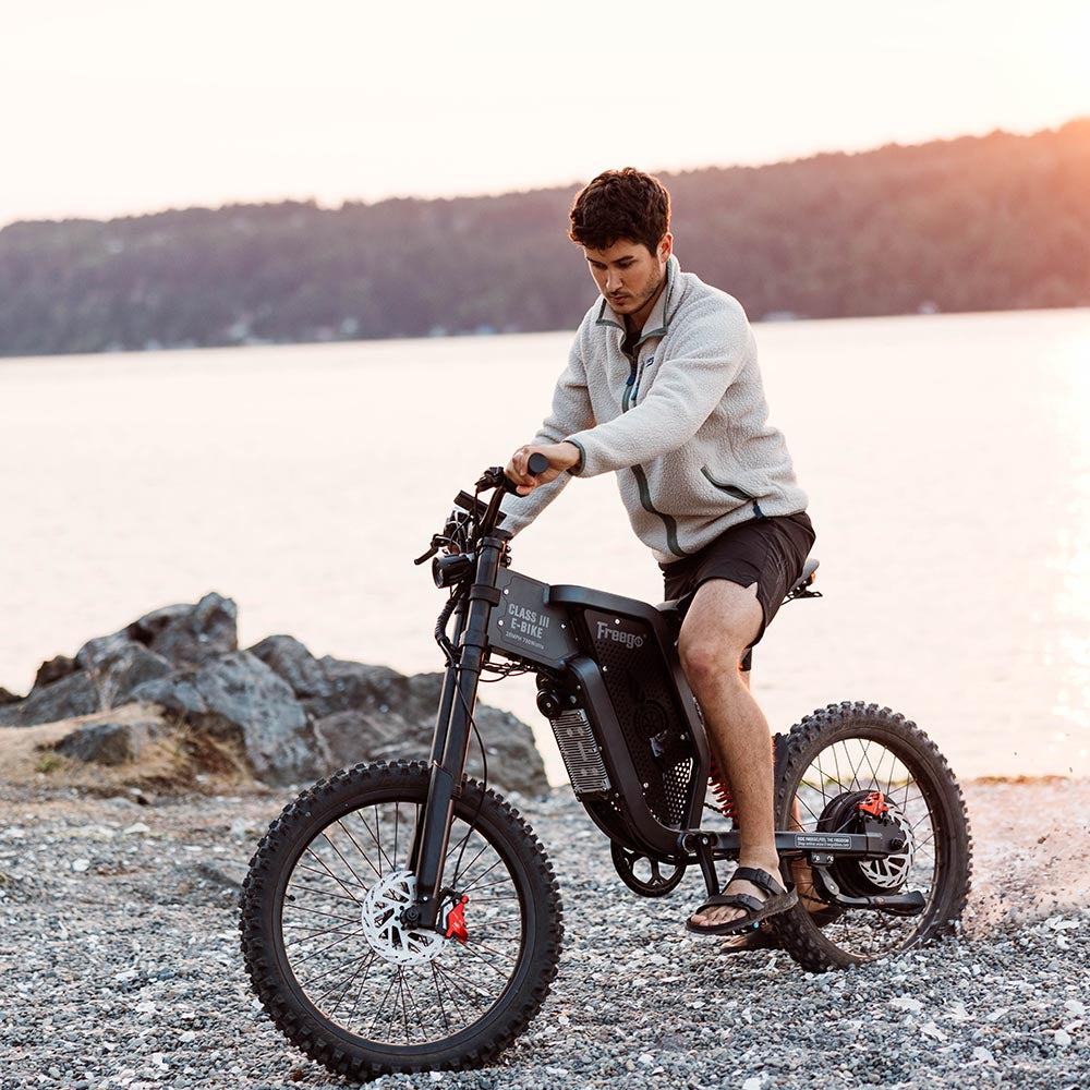 x2 adult electric bicycle