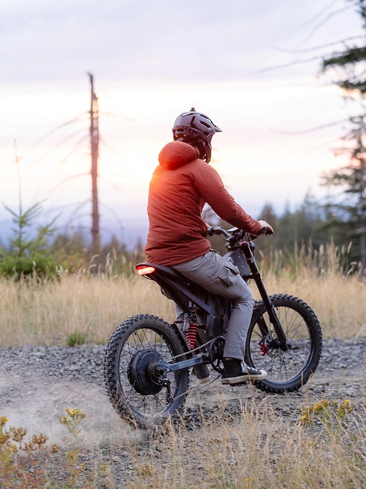 Freego X2 Off Road Dirt Electric Mountain Bike
