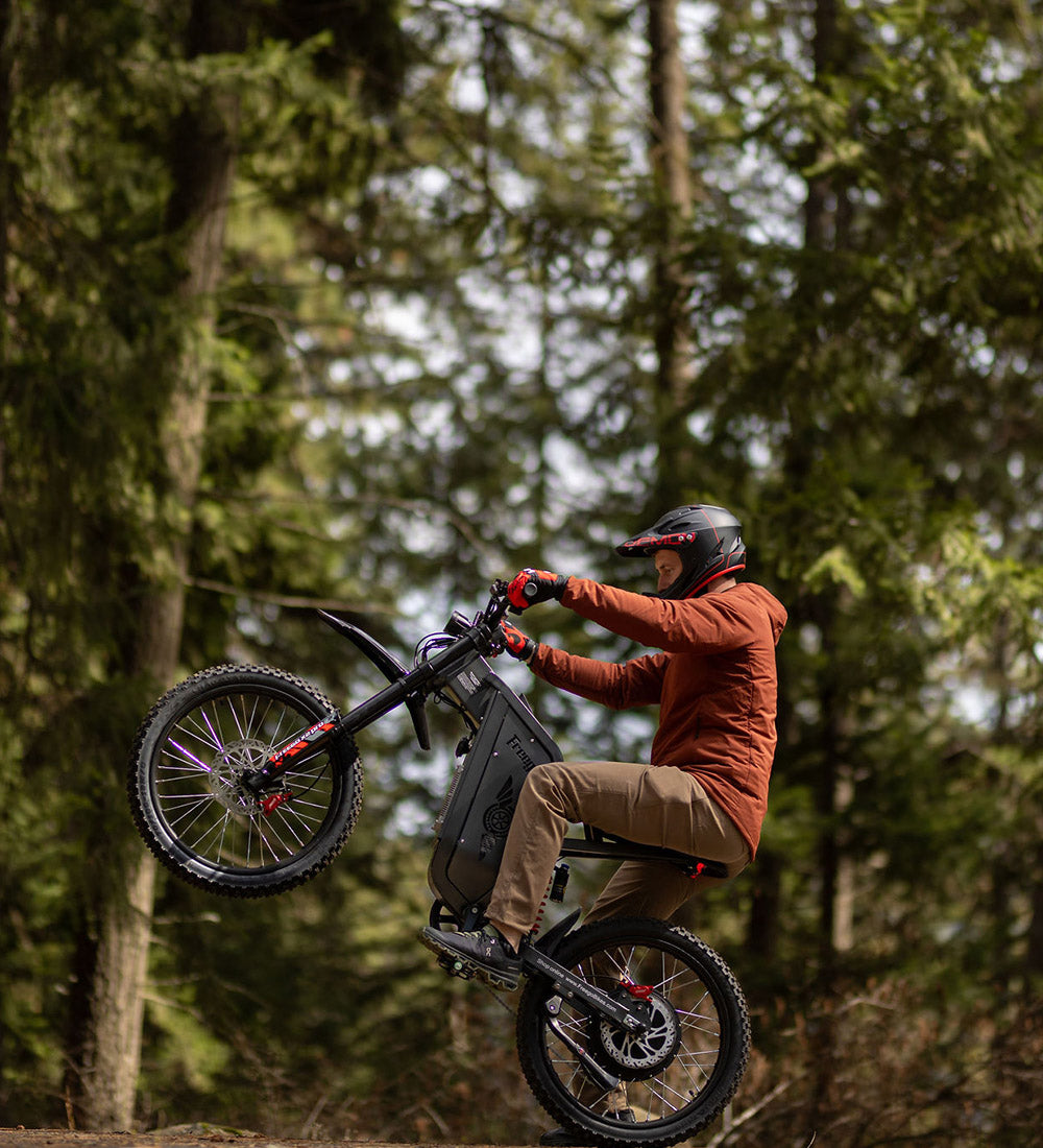 Freego X2 Pro All-Terrain Dirt eBike