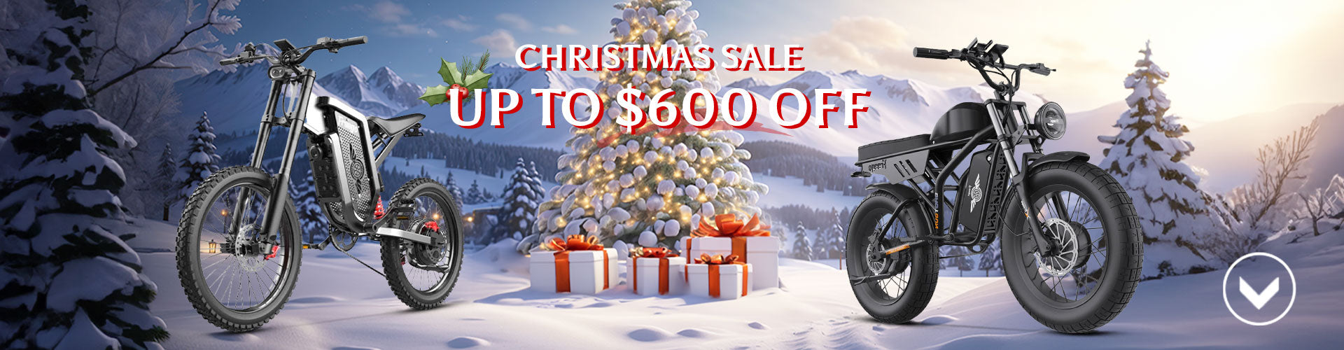 Christmas Offer banner