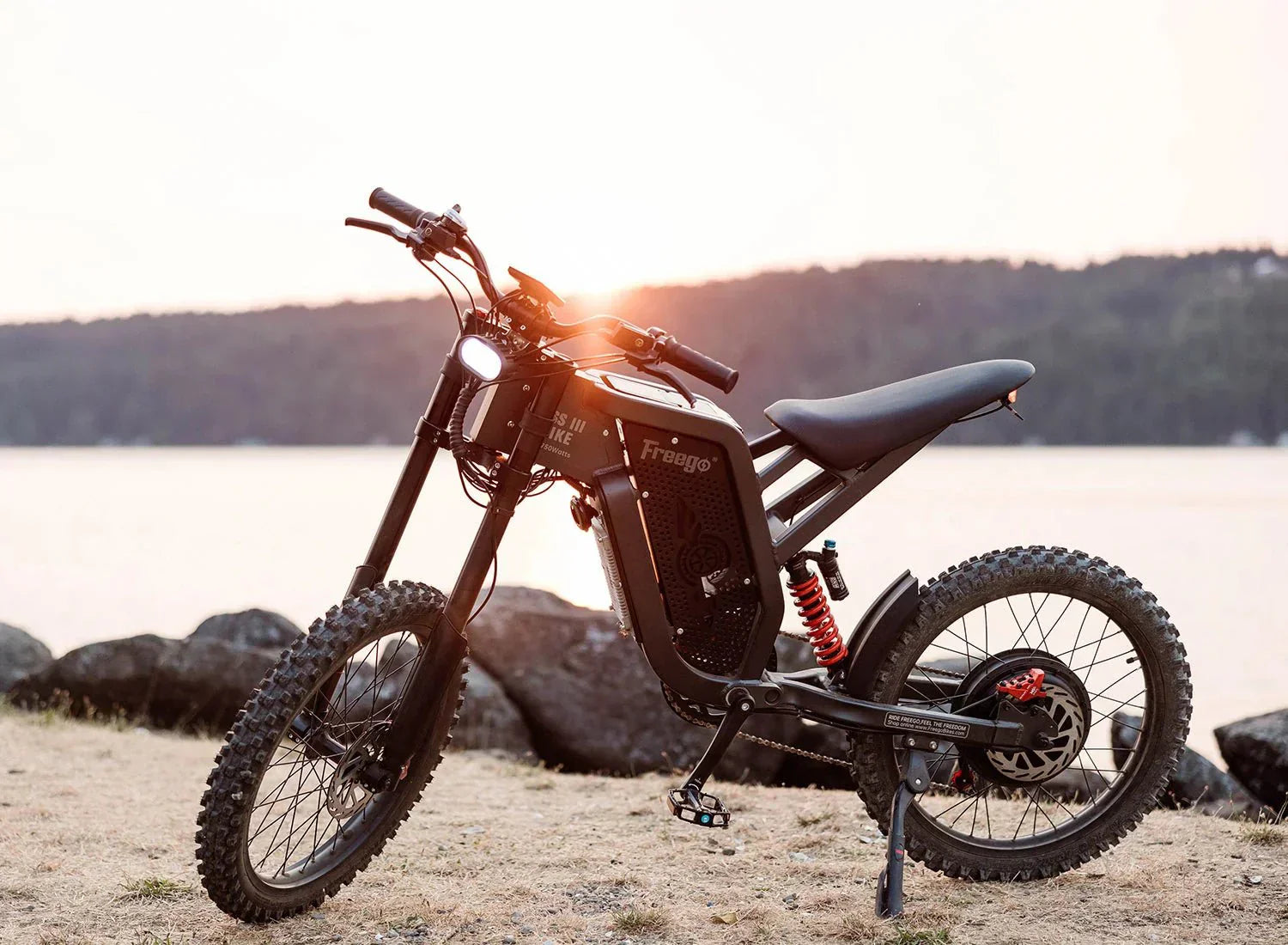 urban e bike x2 Freego X2 Off Road Dirt Electric Mountain Bike, 3-Year